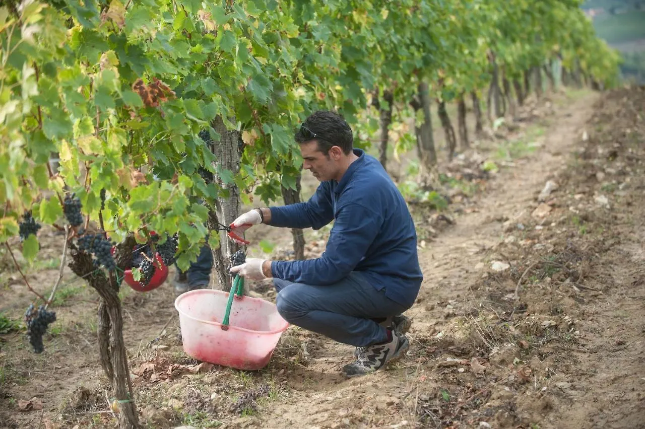 La Valletta Boutique Wine Estate Panzano in Chianti Bed & Breakfast