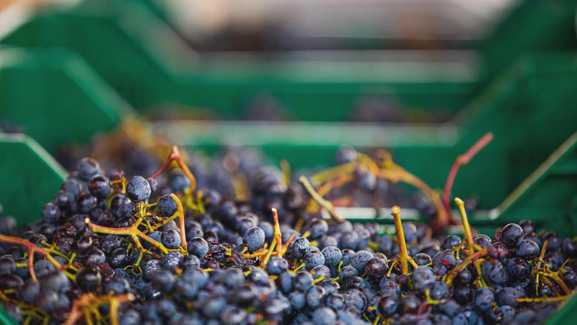 La Valletta Boutique Wine Estate Panzano in Chianti Bed & Breakfast