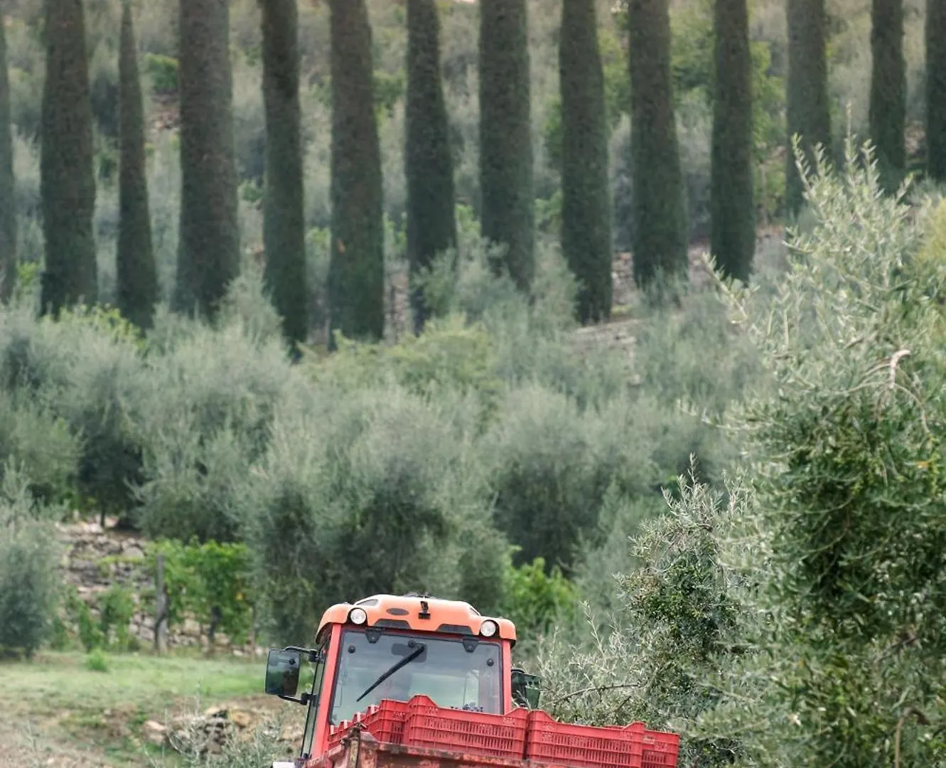 Bed & Breakfast La Valletta Boutique Wine Estate Panzano in Chianti